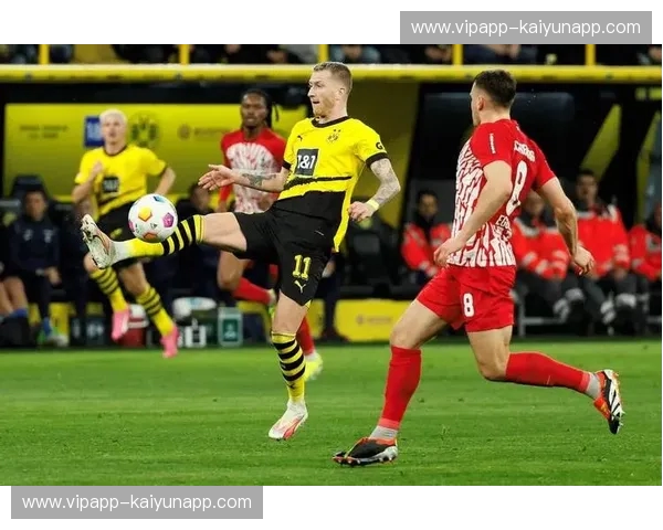 德甲巅峰对决,欧冠赛场风云再起:拜仁与多特的宿命恩怨 德甲巅峰对决,欧冠赛场风云再起:拜仁与多特的宿命恩怨